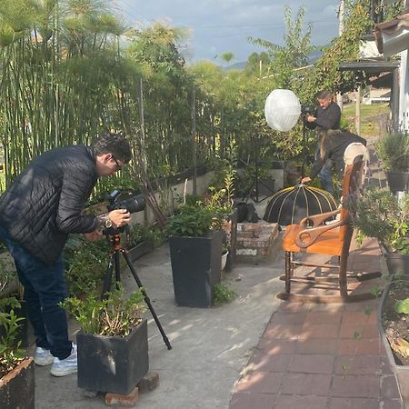 Casa De Hospedaje Vivaio 파이파 외부 사진