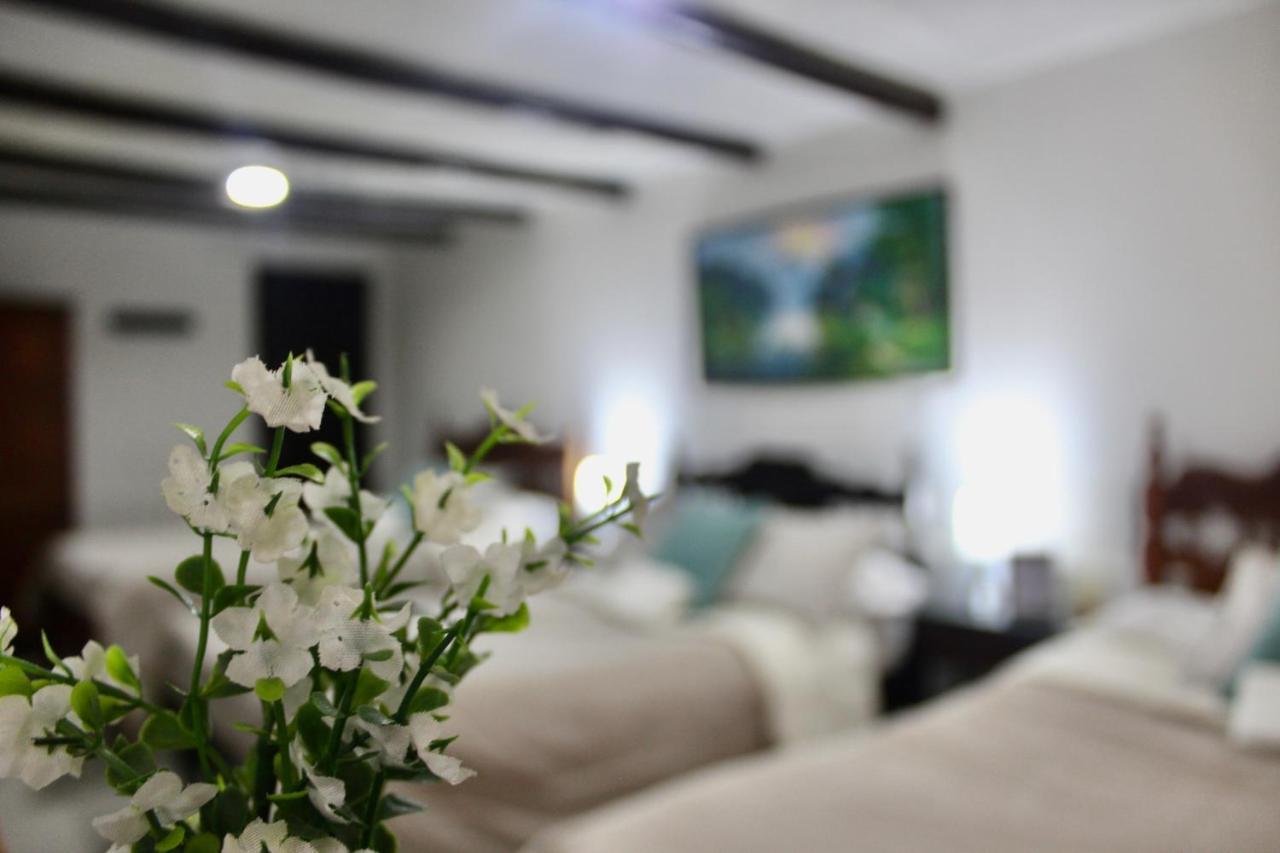 Casa De Hospedaje Vivaio 파이파 외부 사진